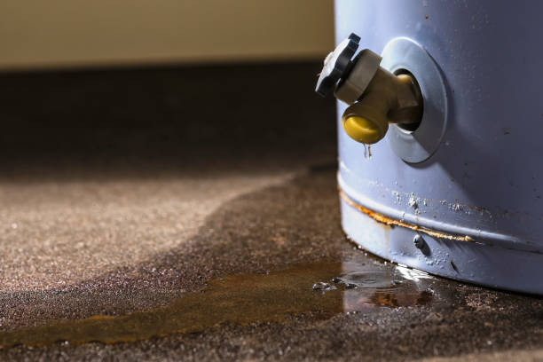 Best Emergency water extraction  in Lindstrom, MN