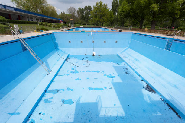 Best Flood restoration services  in Lindstrom, MN