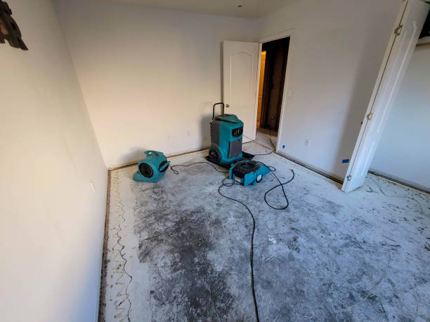 Best Sewage cleanup and water damage restoration  in Lindstrom, MN
