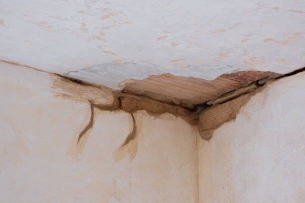 Best 24-hour water damage restoration  in Lindstrom, MN