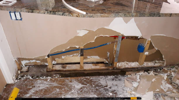 Best Professional water damage repair  in Lindstrom, MN