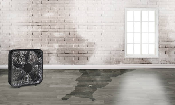  Lindstrom, MN Water damage restoration Pros