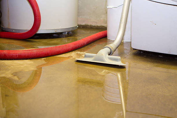 Best Water damage restoration near me  in Lindstrom, MN