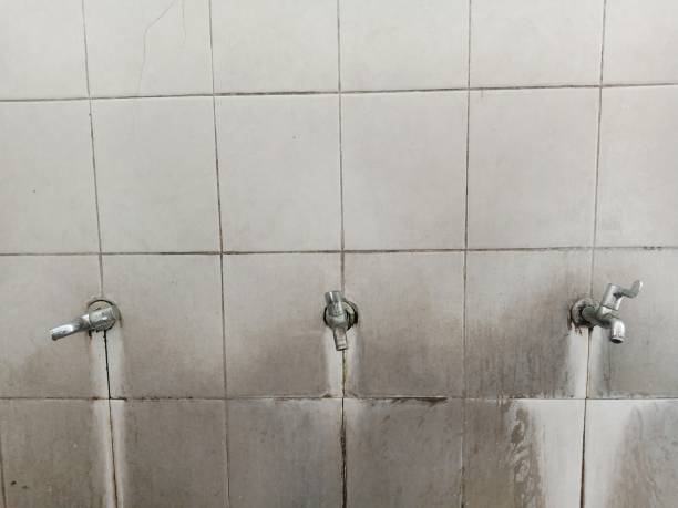Best Water damage restoration near me  in Lindstrom, MN